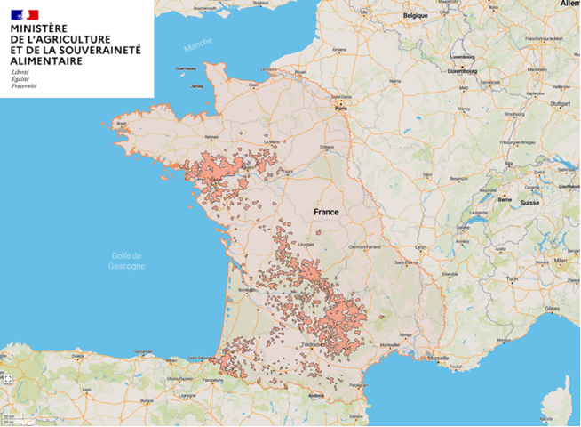 Nouvelles dispositions concernant la MHE
